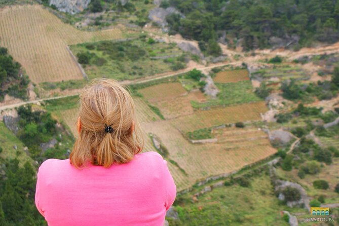 twice-the-wine-two-wineries-half-day-tour-with-delicacies