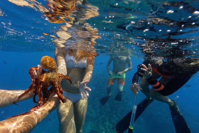 ultimate-4-hour-lanai-snorkel-and-dolphin-encounter