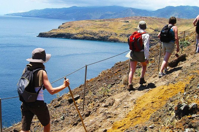 vereda-da-ponta-de-sao-lourenco-trail-walking-tour