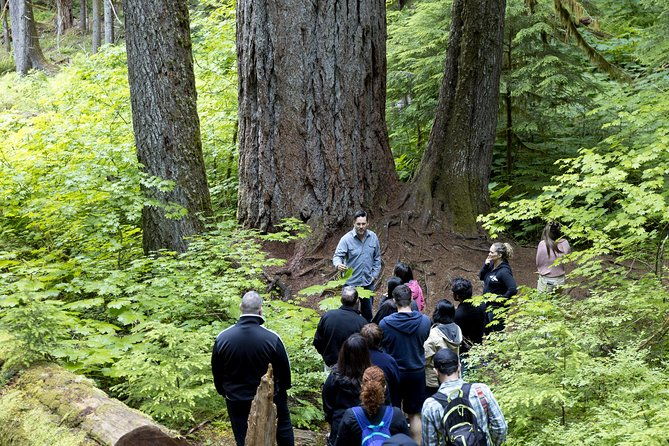 viator-exclusive-day-tour-from-seattle-to-mt-rainier