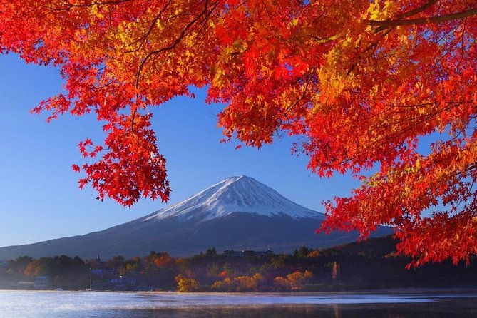 view-of-mt-fuji-is-good-sushi-making-experience-class