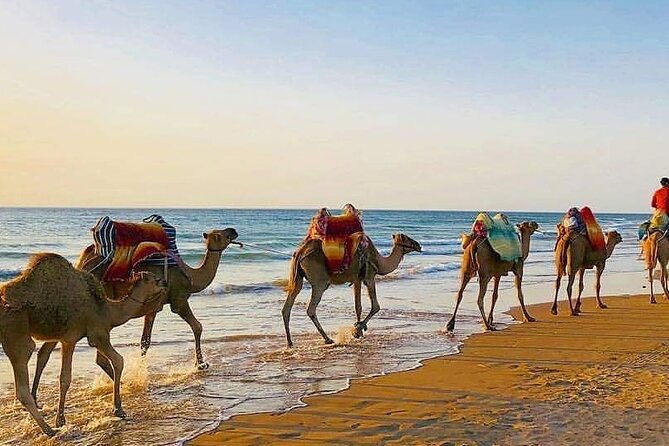 vip-full-day-private-tangier-tour-from-malaga-all-inclusive-2
