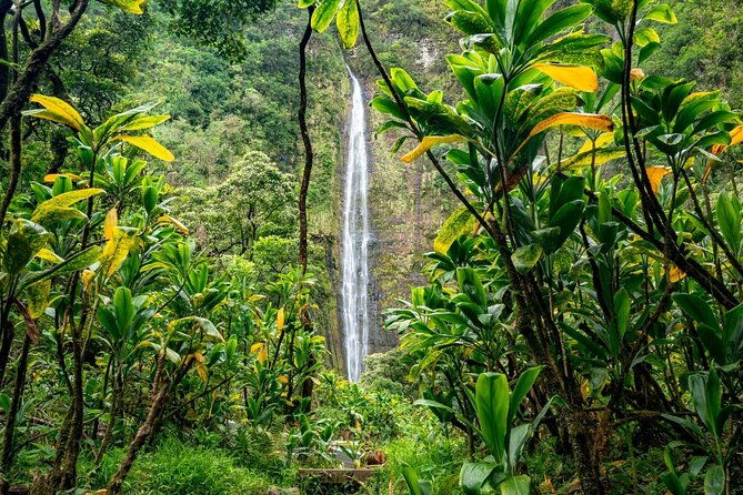 vip-private-road-to-hana-tour-with-pick-up