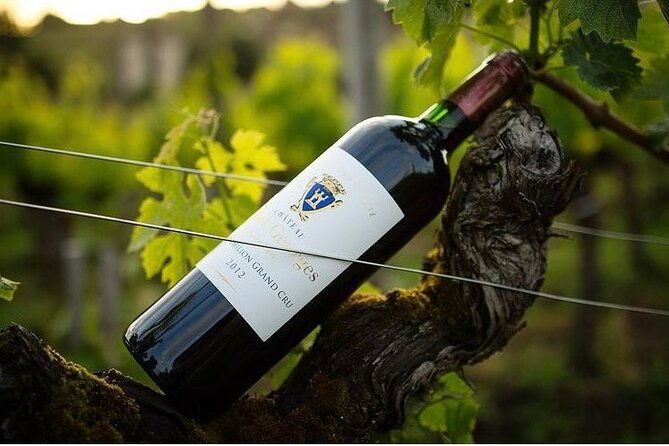 visit-and-tasting-chateau-saint-georges-cote-pavie-grand-cru-classe