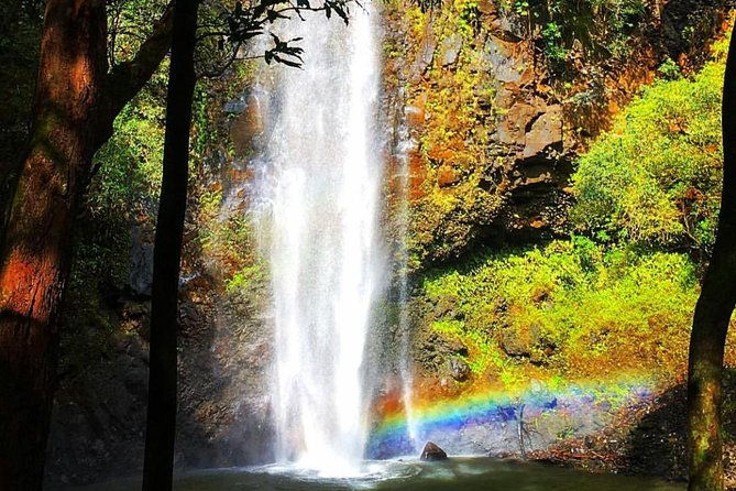 wailua-river-waterfalls-kayak-tour-expert-guided-adventure