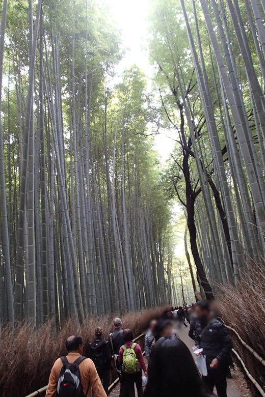 western-kyoto-walking-tour-with-local-guide