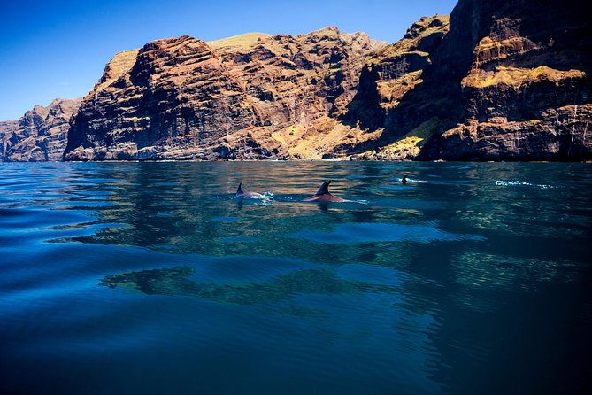 whale-watching-and-listening-eco-catamaran-tour-with-food-tasting