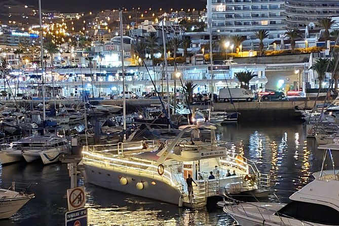 whale-watching-catamaran-cruise-with-transfer-buffet-by-mc