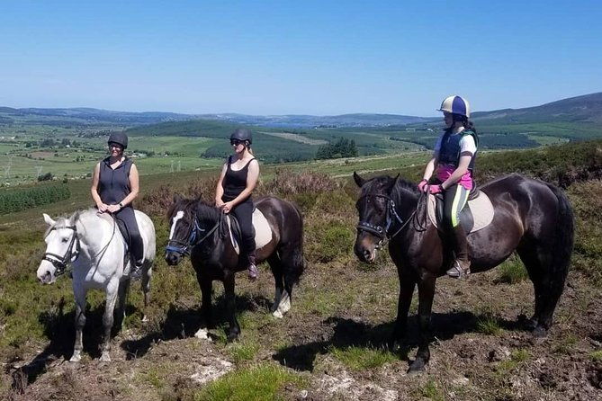 wicklow-mountains-horse-trekking