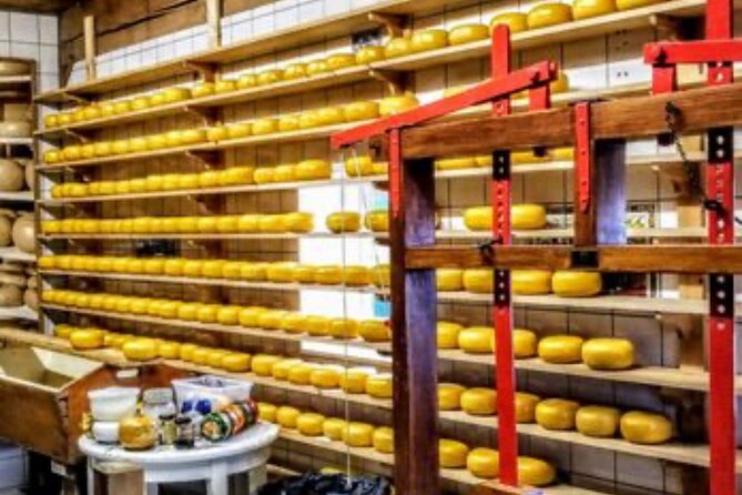 windmills-country-side-tour-zaanse-schans-cheesefactory-volendam