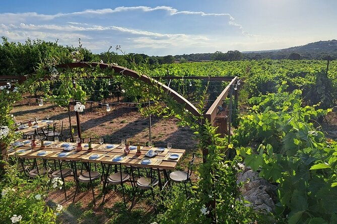 wine-experience-vineyard-wines-and-food