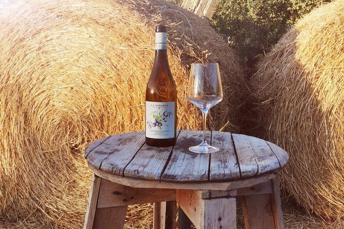 wine-tasting-and-guided-visit-to-the-vineyard-and-cellar-in-s-maria-imbaro