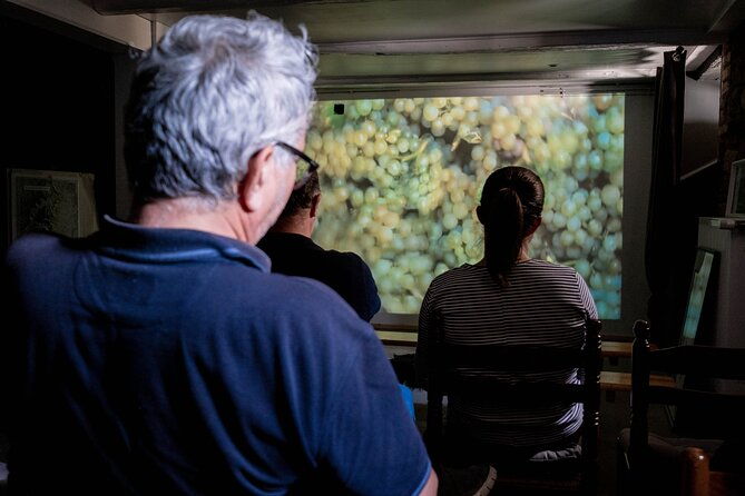 wine-tasting-and-immersive-cellar-tour