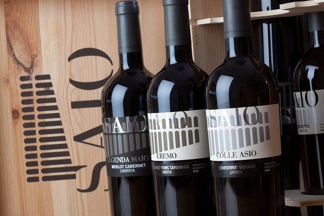 wine-tasting-and-walk-in-the-vineyard-of-assisi