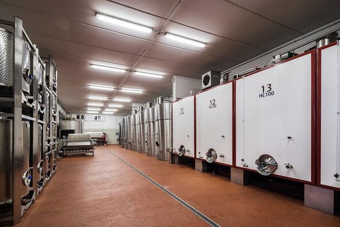 winemaker-for-a-day-tour-an-organic-winery