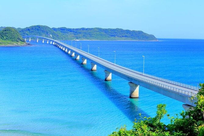 yamaguchi-akiyoshido-cave-and-shrine-day-tour-from-fukuoka