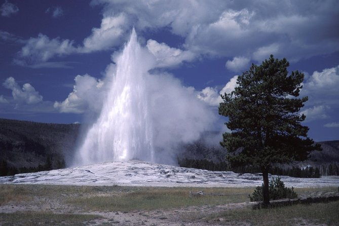 yellowstone-lower-loop-full-day-tour