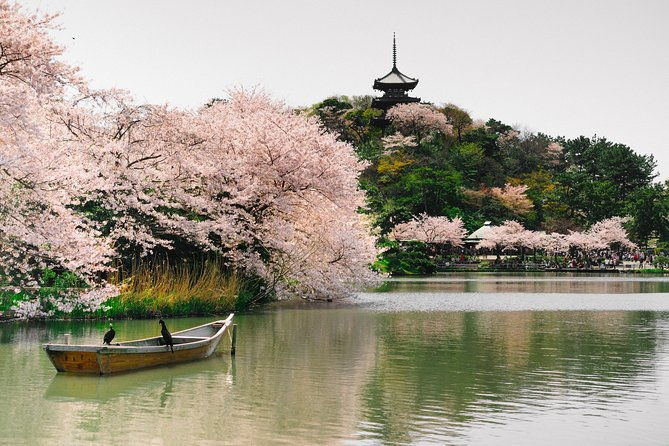 yokohama-highlights-and-hidden-gems-tour-with-a-local-4-hours