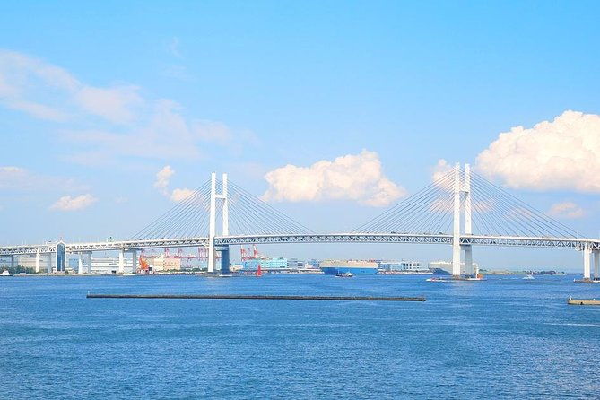 yokohama-private-departure-transfer-from-yokohama-port-or-hotels-to-tokyo-hotels
