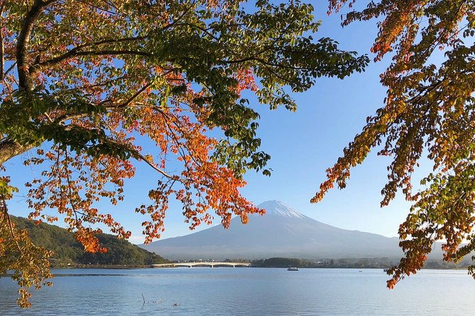 1-day-charter-tour-to-mt-fuji-view