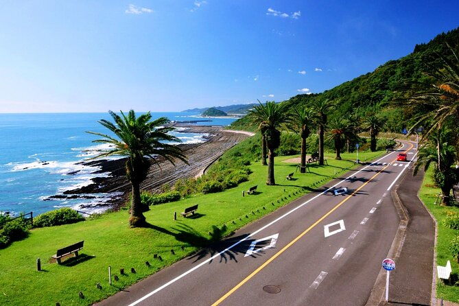 1-day-private-tour-to-miyazaki-nichinan