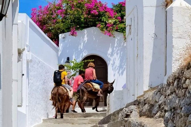1-day-rhodes-island-tour-with-olive-oil-honey-and-wine-tasting