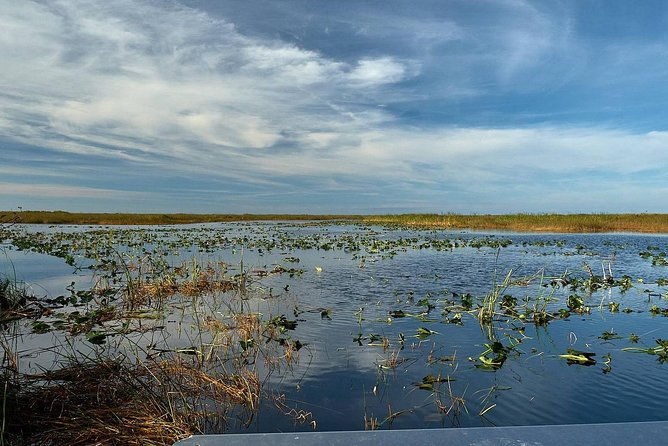 1-hour-air-boat-ride-and-nature-walk-with-naturalist-in-everglades-national-park