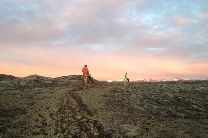 1-hour-private-horse-riding-tour-from-reykjavik-mosfellsbaer