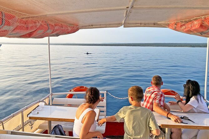 2-hour-dolphin-guided-safari-np-brijuni-from-fazana
