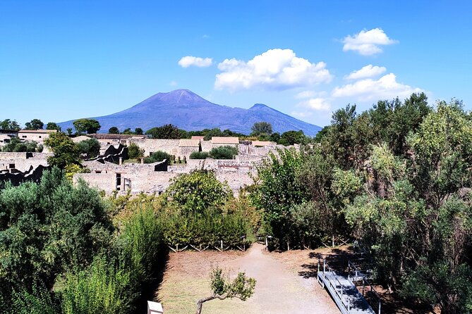 2-hours-private-tour-in-pompeii-with-archaeologist