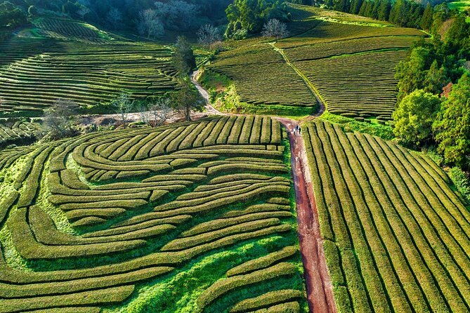 2-x-day-tour-pack-with-lunch-included-furnas-sete-cidades-fogo-nordeste