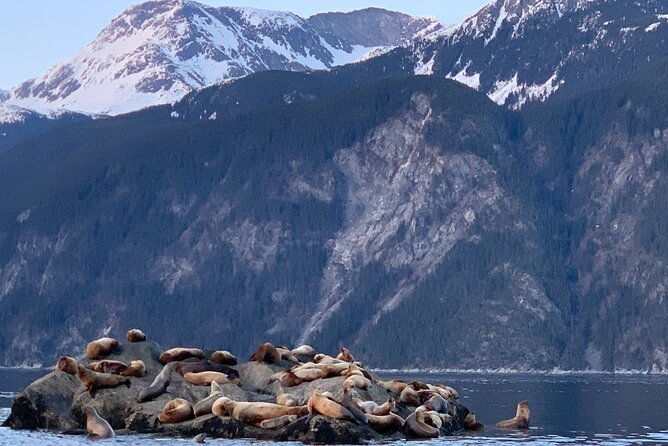 3-hour-alaska-waterfalls-tour