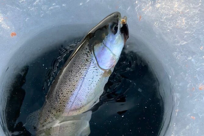 3-hour-ice-fishing-experience