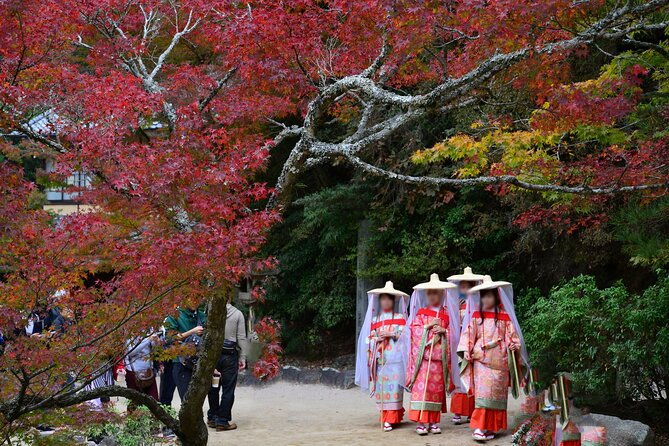 4-hour-miyajima-private-tour