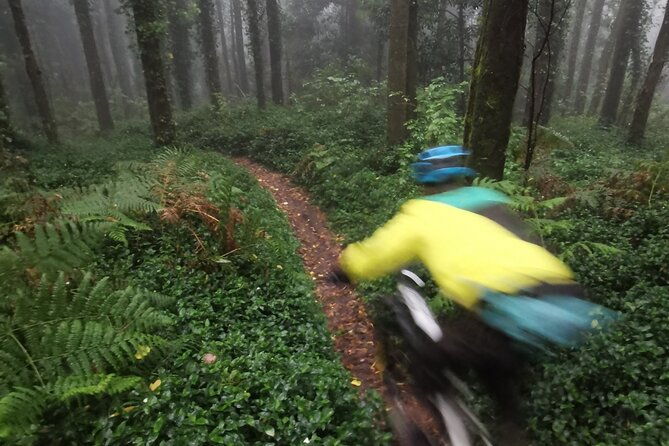4-hour-private-mtb-enduro-trail-tour-in-sintra-mountain