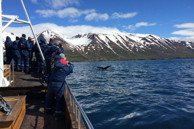 7-day-complete-iceland-south-coast-golden-circle-akureyri-snaefellsnes