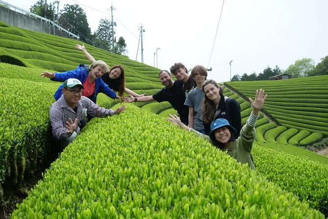 7hr-private-guided-van-tour-nara-matcha-farm
