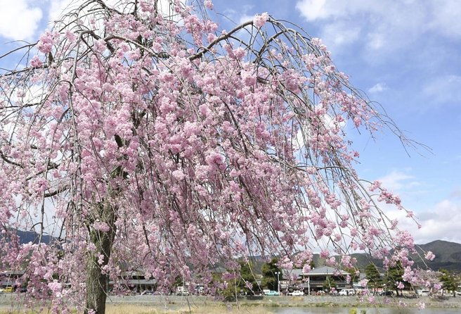 9-day-japan-and-south-korea-highlight-tour