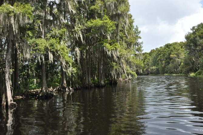 90-minute-everglades-airboat-tour-near-orlando-florida