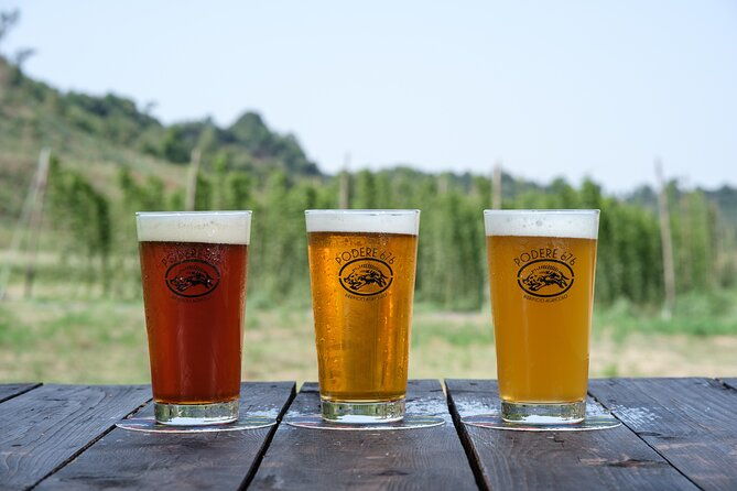 agricultural-brewery-tour-in-the-roman-countryside