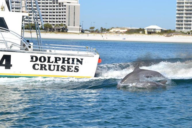 alabama-gulf-coast-dolphin-cruise