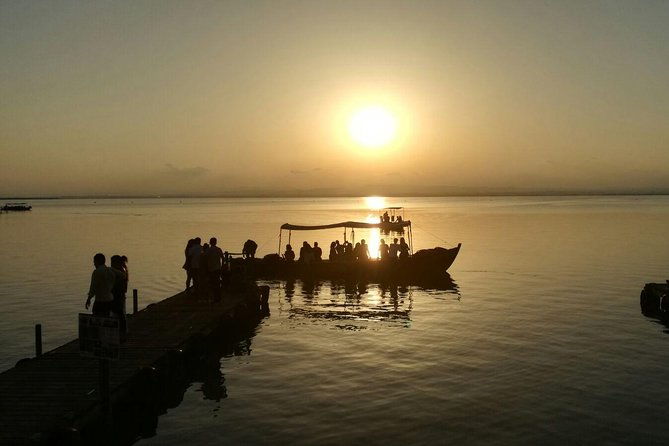 albufera-natural-park-tour-with-boat-ride-from-valencia
