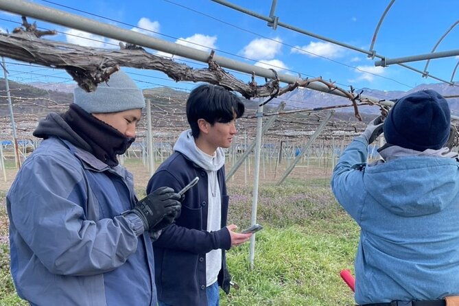 all-inclusive-sake-bre-and-winery-tour-with-view-of-mt-fuji