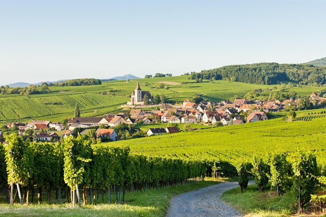 alsace-colmar-medieval-villages-castle-small-group-day-trip-from-strasbourg