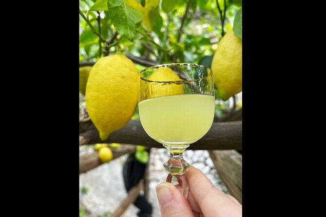 amalfi-lemon-tour-tasting-in-historical-garden