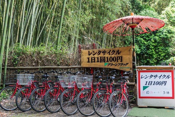 arashiyama-bamboo-grove-day-trip-from-kyoto-with-a-local-private-personalized