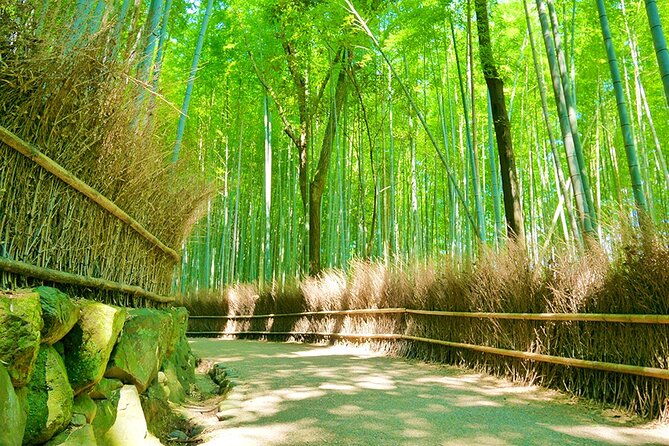 arashiyama-bamboo-must-see-gardens-with-an-amazing-guide