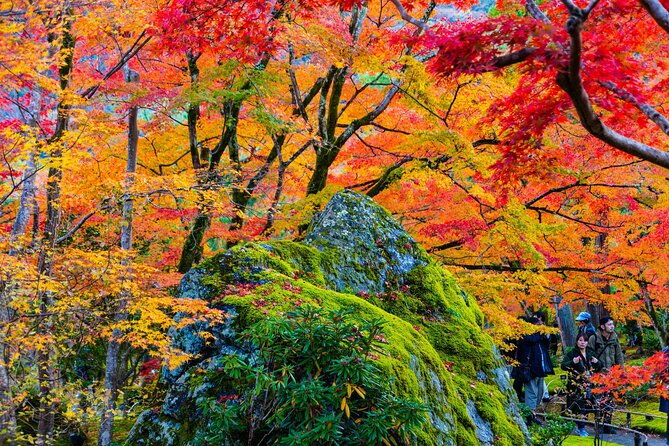 arashiyama-walking-tour-with-optional-sagano-romantic-train-ride