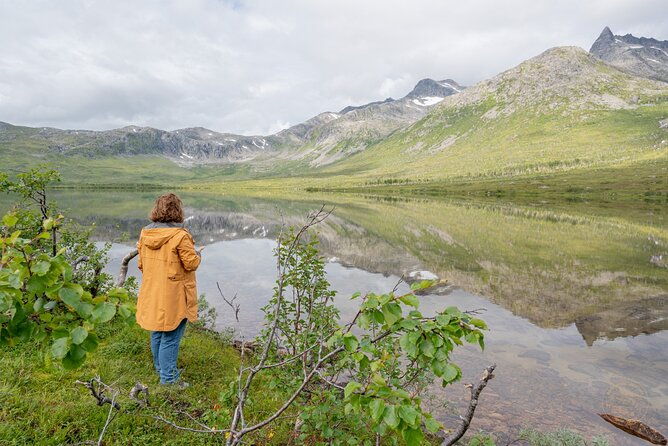 arctic-roadtrip-fjords-with-scenic-picnic-private