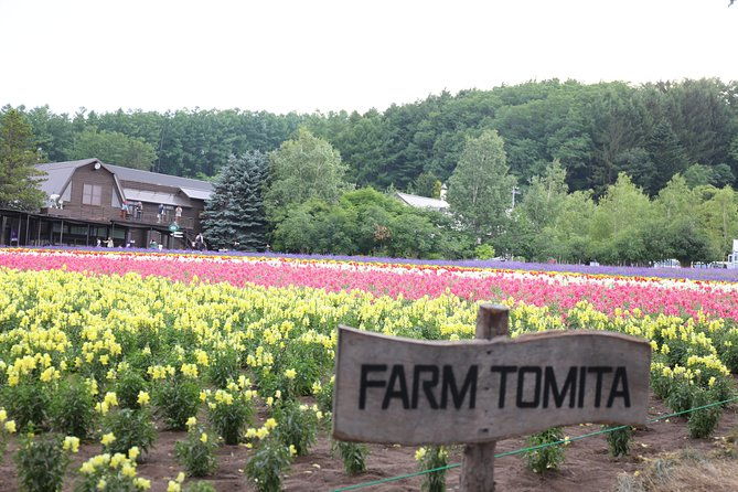 asahiyama-zoo-aoiike-farm-tomita-ningle-terrace-from-sapporo